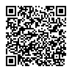 湖口王爺壟全新店面-QR CODE