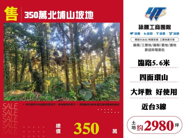 北埔山坡地-0